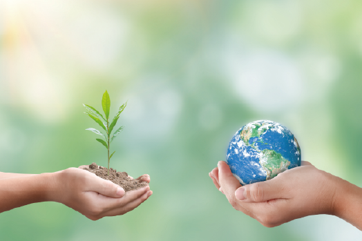 sustainability